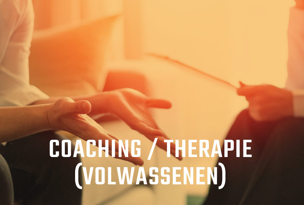 Counseling / coaching / therapie