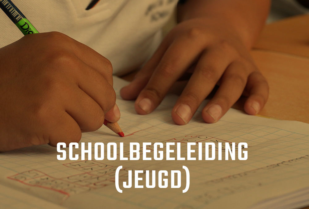 Schoolbegeleiding