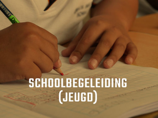 Schoolbegeleiding