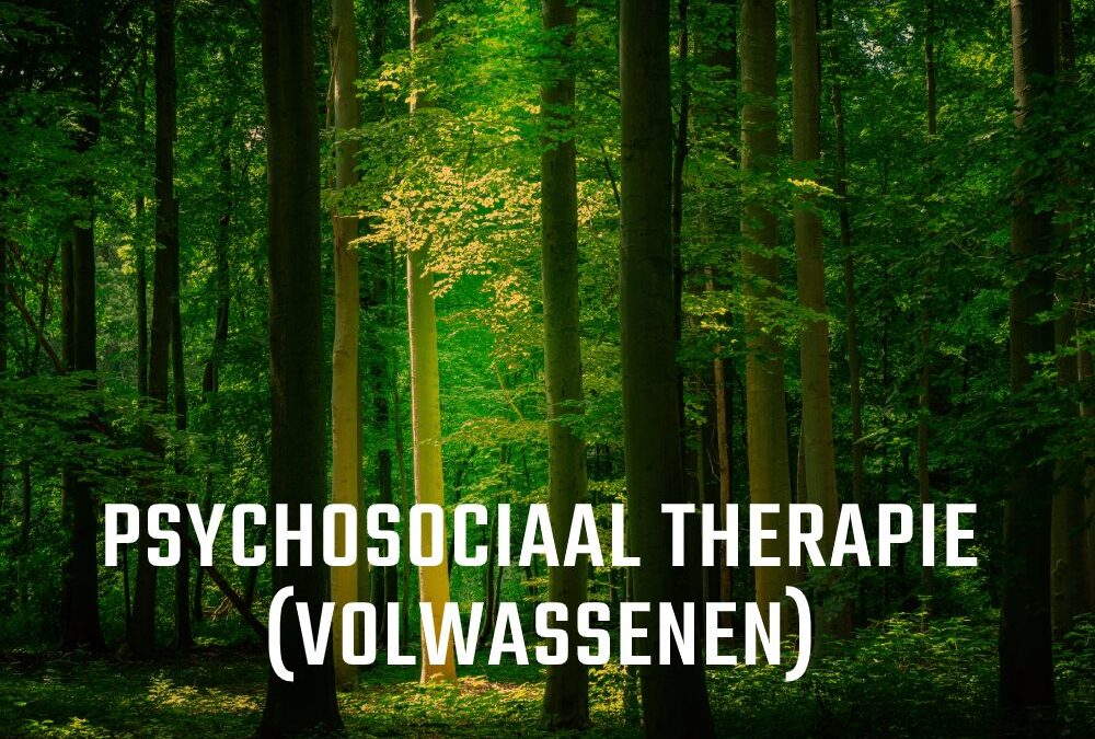 Psychosociaal therapeut