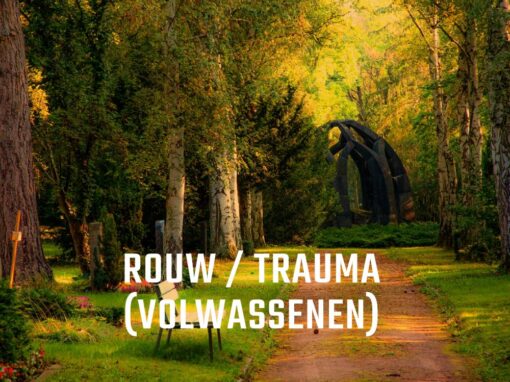 Rouw- en traumaverwerking